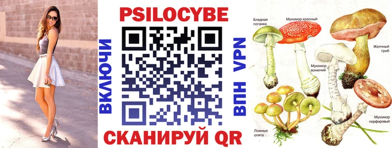 Галлюциногенные грибы Cubensis  Зверево 
